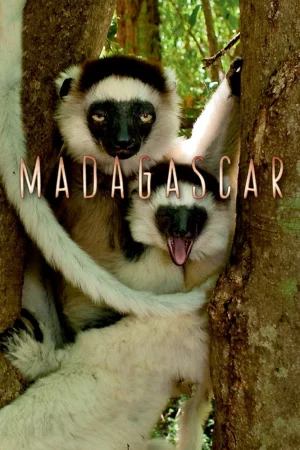 Madagascar 2011